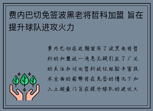费内巴切免签波黑老将哲科加盟 旨在提升球队进攻火力